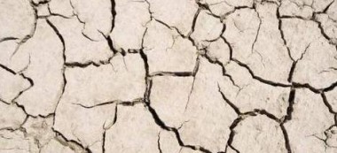 Île-de-France : l’état de catastrophe naturelle peu reconnu pour la sécheresse 2022
