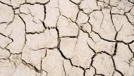 Île-de-France : l'état de catastrophe naturelle peu reconnu pour la sécheresse 2022