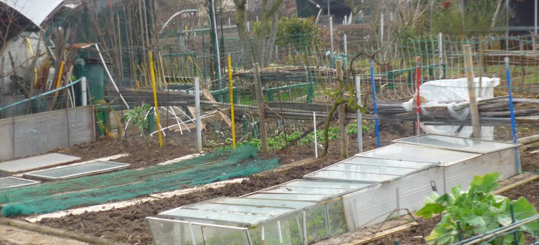 Ateliers jardinage gratuits au parc des Hautes Bruyères