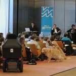 Assises de l'accessibilité Val de Marne Novembre 2012