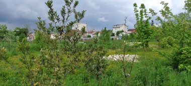 La moitié des villes du Val-de-Marne sont carencées en parcs et jardins publics