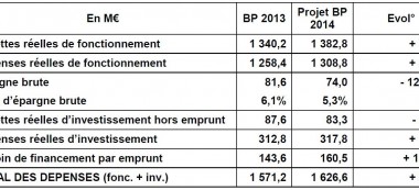 Détail du budget 2014 du Conseil général du Val de Marne