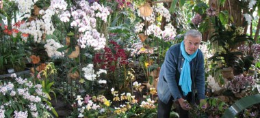 Les orchidées Vacherot-Lecoufle consacrées au Jardin des plantes