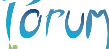 Le Forum canaverois organise son premier atelier participatif