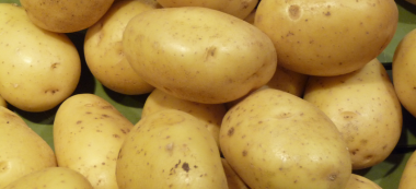 Apprenez à planter les patates à Vitry-sur-Seine