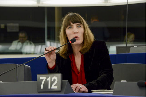 Européennes 2019: Christine Revault d’Allonnes (PS) claque la porte
