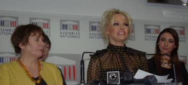 Laurence Abeille revient sur son invitation “scandale” de Pamela Anderson à l’Assemblée