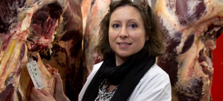 Marie Rivenez, “LA” grossiste en viande bovine de Rungis