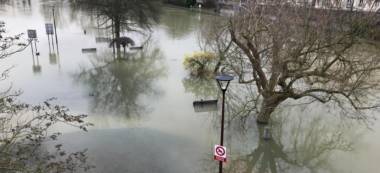 Inondations en Val-de-Marne:  Marne et Seine en décrue