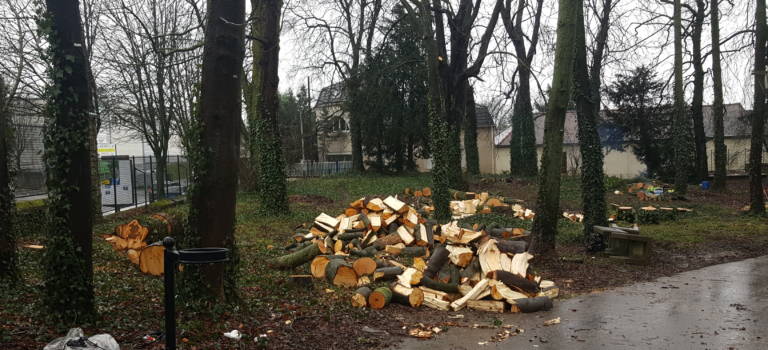 Manif contre l’éclaircissement par abattage d’arbres au parc Mélies d’Orly