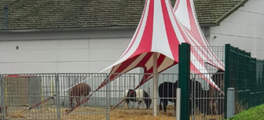 Un cirque s’installe illégalement à Villeneuve-Saint-Georges
