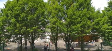 Soupçons d’agression sexuelle dans une maternelle d’Ivry-sur-Seine et un centre de loisirs de Joinville-le-Pont