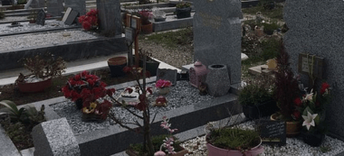 Surmortalité Covid: projet de carré musulman à Villeneuve-Saint-Georges