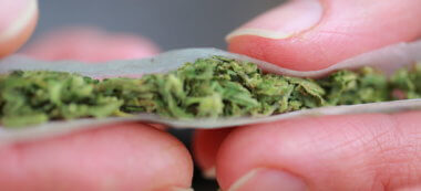 Ivry-sur-Seine: un gros point de deal de cannabis arrêté