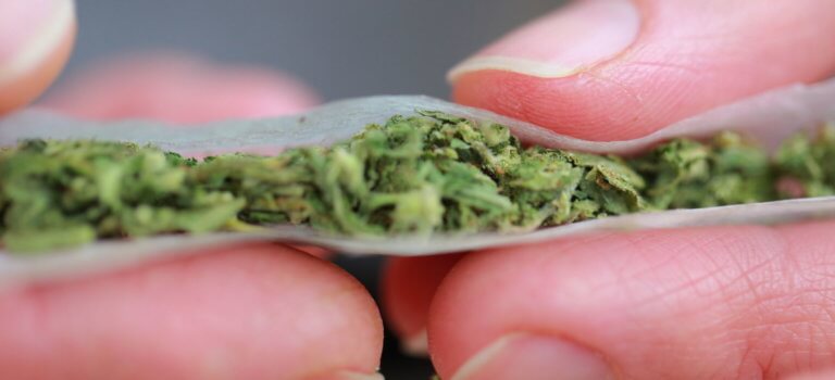 Huit mises en examen après la saisie d’une tonne de cannabis en Ile-de-France