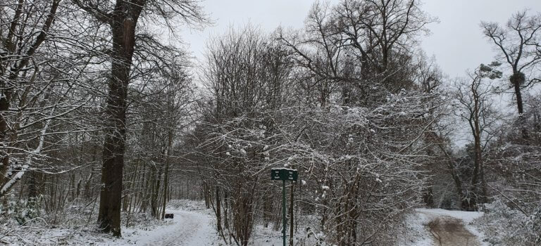 Alerte météo orange crue, grand froid, neige et verglas en Ile-de-France