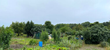 Environnement : huit défenseurs des jardins ouvriers d’Aubervilliers relaxés