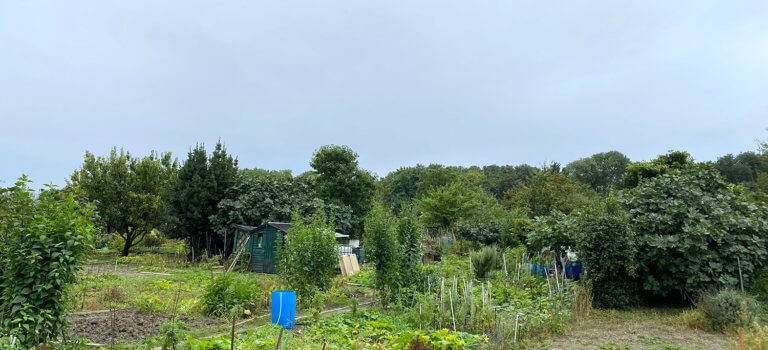 Environnement : huit défenseurs des jardins ouvriers d’Aubervilliers relaxés