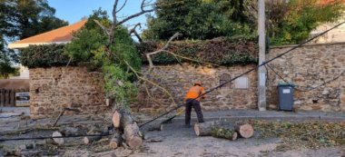 Tempête Aurore : plusieurs centaines de foyers sans électricité en Val-de-Marne