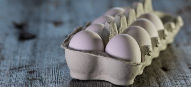 PCB et dioxines : l’Agence régionale de santé recommande de ne pas manger les œufs des poulaillers domestiques en  Île-de-France