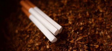 6 700 cartouches de cigarettes de contrebande saisies à Orly