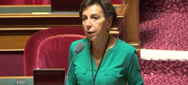 Dioxine autour de l’incinérateur d’Ivry-sur-Seine : le gouvernement répond à Catherine Procaccia