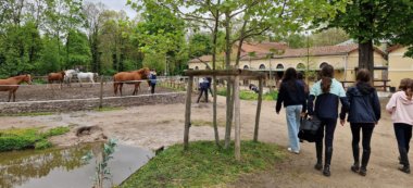 L’équitation, le dada de 9 000 cavaliers en Val-de-Marne