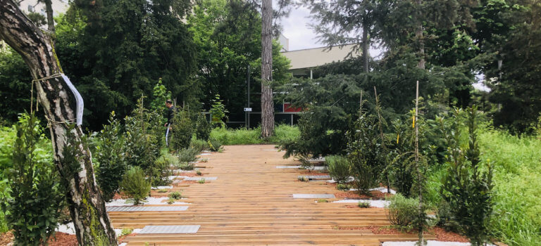À Paris, les jardins éphémères de la Cité Internationale Universitaire se dévoilent