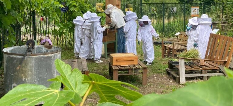 Miel d’Ile-de-France : l’engouement pour les ruches aiguise la concurrence entre pollinisateurs