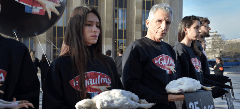 Paris : L214 expose des cadavres de poulet pour dénoncer l’élevage intensif