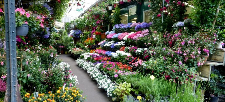 Le marché aux fleurs de l’île de la Cité va se refaire une beauté