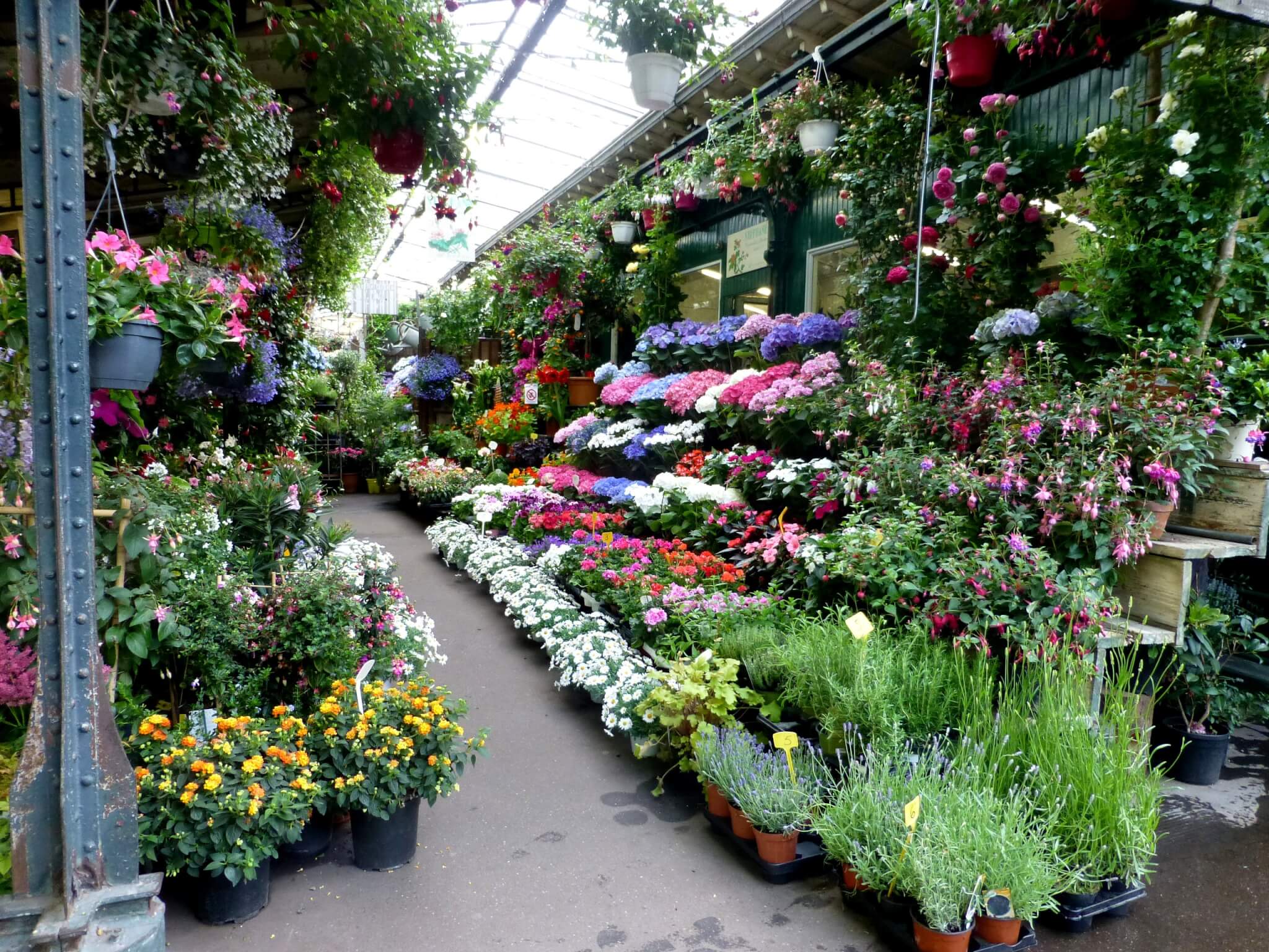 Le marché aux fleurs de l'île de la Cité va se refaire une beauté