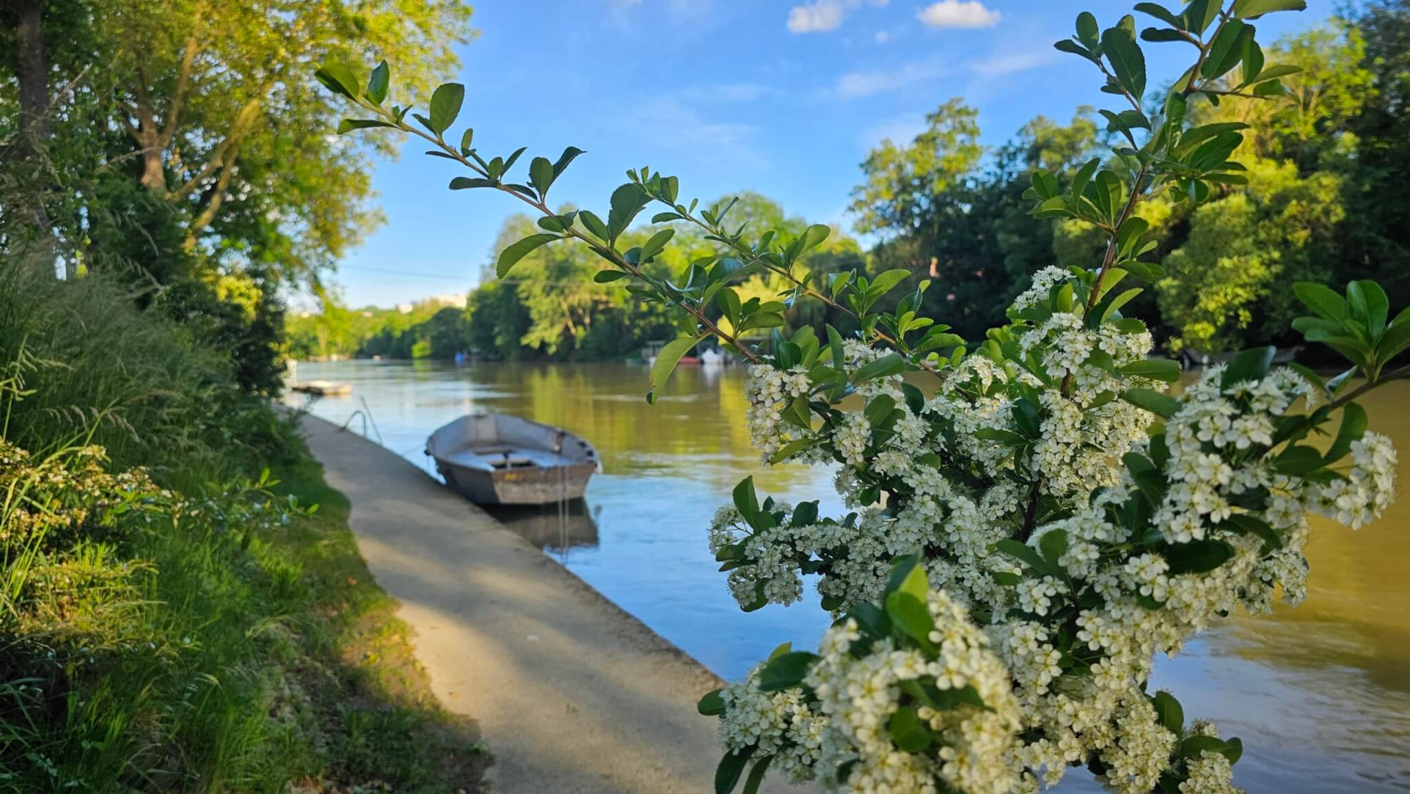 La biodiversité retrouvée des bords de la Marne : un joyau de nature à savoir observer