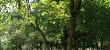 Le corps d’une étudiante de Dauphine retrouvé enterré au bois de Boulogne