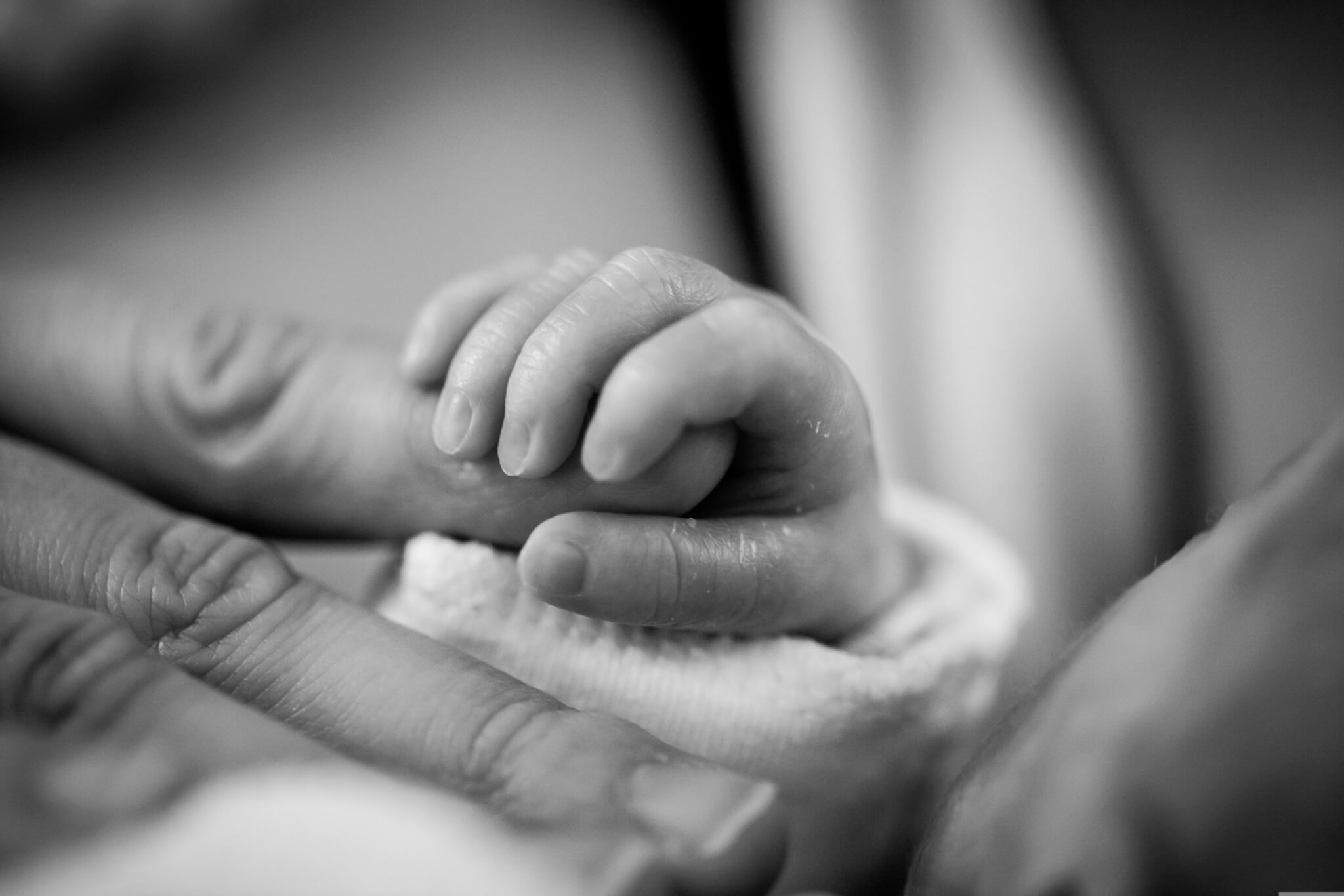 D’Aulnay-sous-Bois à Amsterdam : fin de la cavale des parents avec leur bébé prématuré