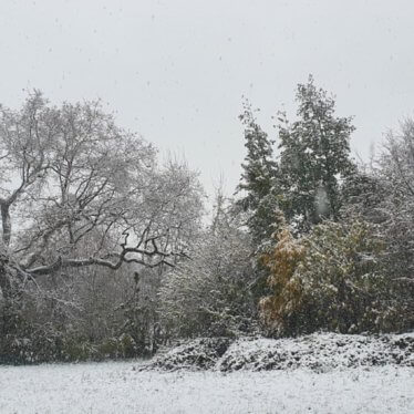 Neige-verglas en Val-de-Marne : salage à gogo, le ministre des Transports à la Dirif de Créteil, l’alerte orange maintenue