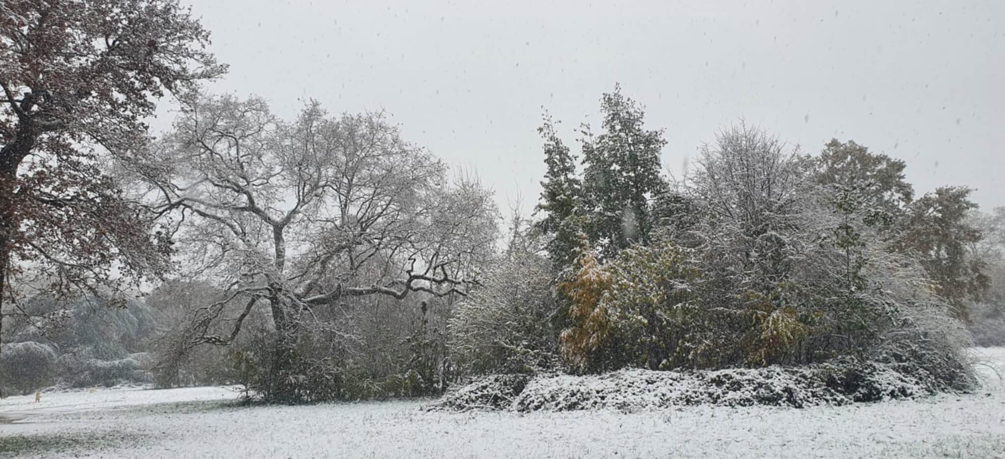 Neige-verglas en Val-de-Marne : salage à gogo, le ministre des Transports à la Dirif de Créteil, l’alerte orange maintenue