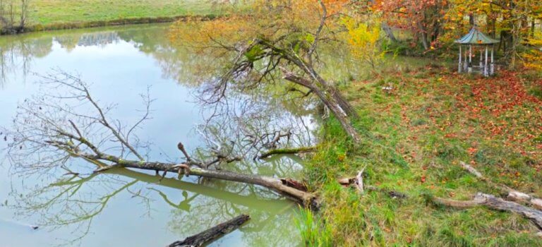 Bois du Piple : bientôt un nouveau morceau de nature à explorer à Boissy-Saint-Léger, réchappé du bétonnage