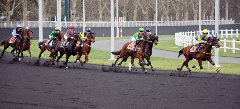 Pas de courses à l’hippodrome de Vincennes ce jeudi : la filière hippique va manifester à Paris