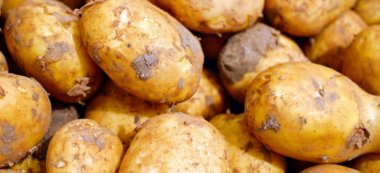 5 tonnes de patates à vendre à prix coûtant dans 15 villes du Val-de-Marne