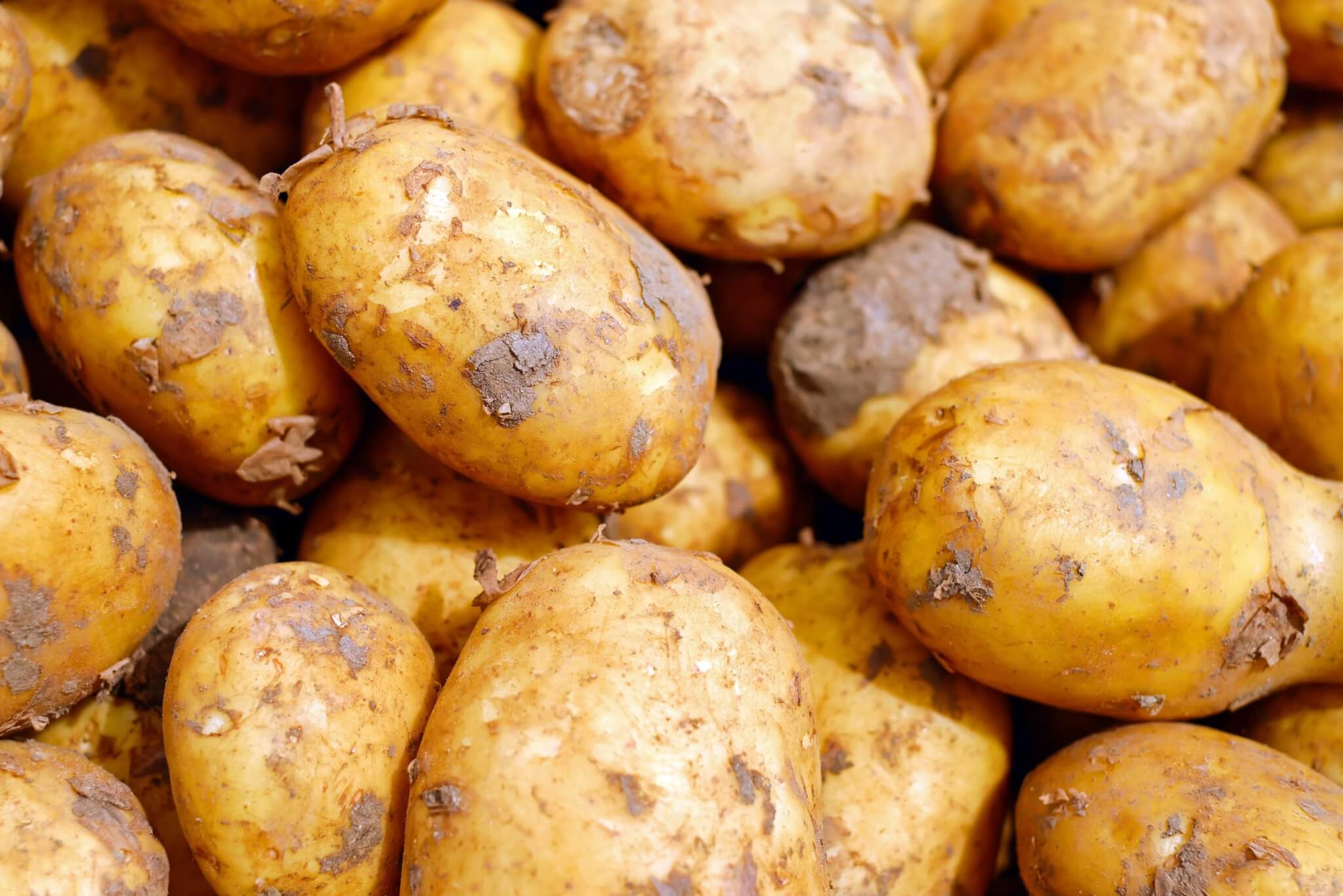 5 tonnes de patates à vendre à prix coûtant dans 15 villes du Val-de-Marne