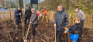 Forêt Miyawaki à Rungis : 5 000 arbres plantés sur 2 550 m2