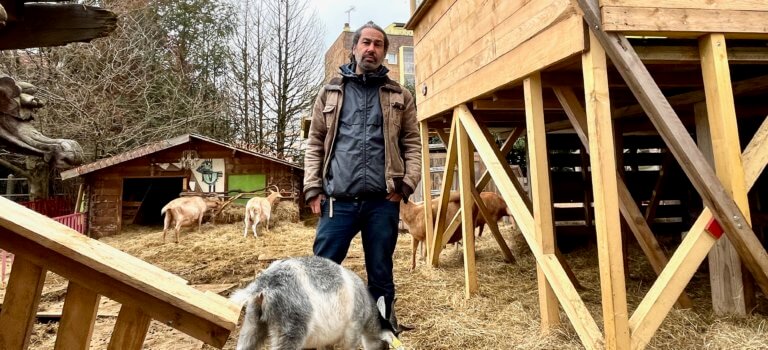 À Bagnolet, la bergerie des Malassis défend son modèle de ferme-école, au milieu du béton